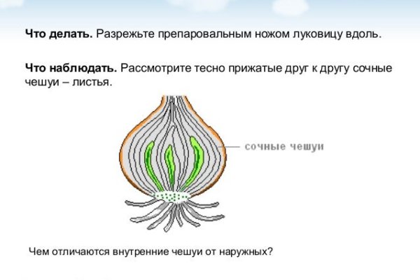 Kraken площадка