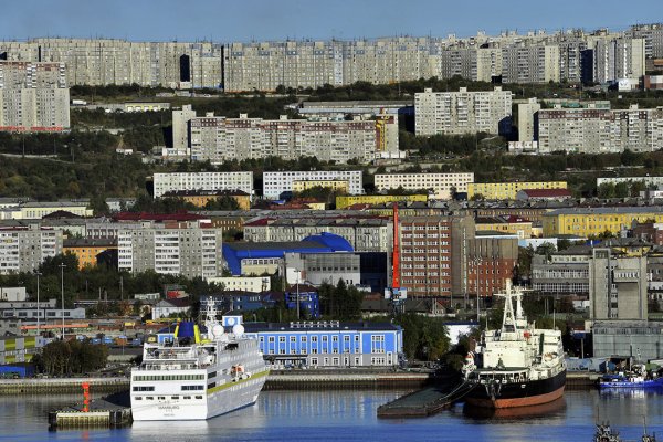 Через какой браузер можно зайти на кракен