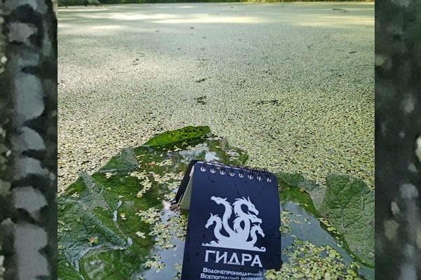 Кракен магазин наркотиков
