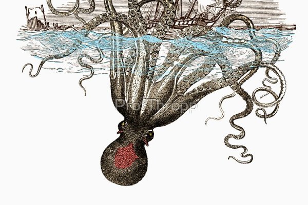 Kraken 12 at