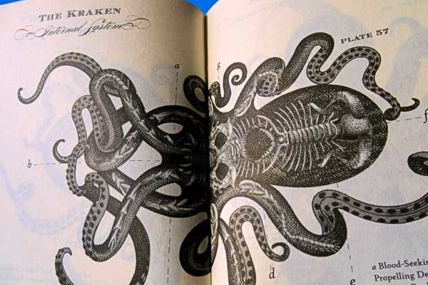 Craken12 at