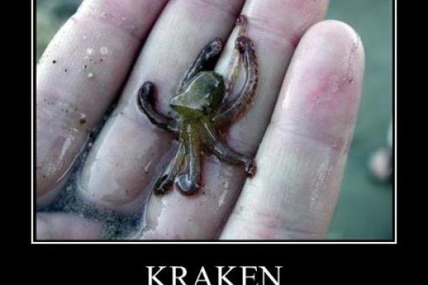 Kraken 2krn